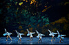 Universal Ballet Company's ″Jeong″ will be staged at the Universal Art Center in eastern Seoul from Feb. 16 to 18. [UNIVERSAL BALLET COMPANY]