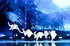 Boy band Enhypen performs its lead track ″Given-Taken″ for the first time on Monday during an online showcase held for its first EP ″Border: Day One.″ [BELIFT LAB]