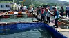 Vice Minister of Oceans and Fisheries Song Myeong-dal visits an aquafarm in Yeosu, South Jeolla, on Thursday to review its condition. [MINISTRY OF OCEANS AND FISHERIES]