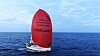 Korean artist Song Ho-jun's yacht sailed 18 days to get to Hong Kong to participate in this year's Rolex China Sea Race that kicked off on March 27. Song's team of eight sailors - Team Random () - was the first Korean team to compete in the race. The team was sponsored by Bungaejangter, Korea's online secondhand trading app. [BUNGAEJANGTER]