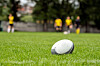 The Hong Kong government has criticized the Asian Rugby Seven Series after a song associated with the territory’s protest movement was played in place of the Chinese national anthem during a match in Incheon on Sunday.  [SHUTTERSTOCK]