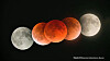 A full lunar eclipse seen in 2018 [GWACHEON NATIONAL SCIENCE MUSEUM]