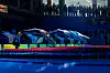 Finswimmers wearing monofins dive into a swimming pool at the start of a race in this stock photo provided by the World Games. [WORLD GAMES]