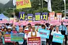 테스트