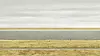 ″Rhein III″ (2018) [ANDREAS GURSKY, SPRÜTH MAGERS]