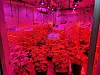 An indoor marijuana grow facility discovered by Bukbu Provincial Police Agency last October. [NATIONAL POLICE AGENCY]