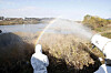 Officials from the Gwangju Buk District Office disinfect a wild bird sanctuary near the city’s Yeongsan River Monday, after the highly pathogenic avian influenza H5N8 virus was detected on a duck farm in the nearby city of Jeongeup in North Jeolla. [YONHAP]