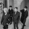 D1Verse [RBW VIETNAM]