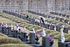 A young elementary student sits in front of the tomb of someone who fell during the April Revolution of 1960 at the April 19th National Cemetery in Suyu-dong, Gangbuk District, northern Seoul, Tuesday. The revolution, often simply referred to as April 19, was a protest movement against Korea’s first president Syngman Rhee, who resigned as a result of the uprising. The protests started when the body of a high school student, who was killed by the police while demonstrating against a rigged election, was found. Some 186 people lost their lives during the movement. [YONHAP]