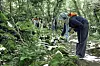 Participants experience the Hwasun Gotjawal Forest Trail activity during the tour on June 5. [KOREA JOONGANG DAILY]