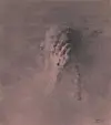 테스트