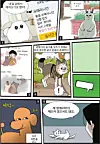 테스트