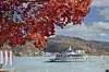 A cruise will be available on Nami Island on Thursdays and Fridays until Nov. 8, offering a 50-minute foliage-viewing experience from the water. [NAMI ISLAND]
