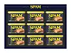 CJ CheilJedang's Spam gift set [CJ CHEILJEDANG]