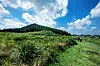 Jeju's Geomunoreum, the birthplace of the lava system [JOONGANG ILBO]