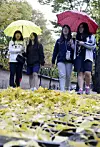 테스트