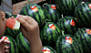 A customer takes a bite out of a watermelon at a traditional market in Seoul on Thursday. As temperature has been rising faster than in previous years, summer fruits have been appearing at stores. Temperatures in some areas including Seoul have risen to 27 degrees Celsius on Thursday. [YONHAP]