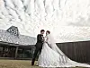 테스트