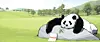 테스트