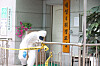 A police line is established at a senior community center in Bonghwa County, North Gyeongsang, on July 17 following a pesticide poisoning incident that left four women hospitalized and one dead. [YONHAP]