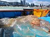 Numerous jellyfish inside a fishing boat near Songjeong Beach in Haeundae, Busan, on Aug. 1. [YONHAP]