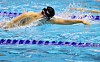 Hwang Sun-woo competes in the semifinals of the men's 100-meter freestyle at the World Aquatics Championships at Marine Messe Fukuoka Hall A in Fukuoka, Japan on July 26. [NEWS1]