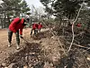 Korean soldiers inspect sites scorched by wildfire in Yeongdeok County in North Gyeongsang on March 28. [NEWS1]