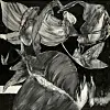 Choi Wook-kyung's 'The Raven of Death and Resurrection' (1975) [KUKJE GALLERY]