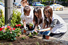 Employees of BAT Rothmans participate in a community campaign titled 'Ggot Bat', engaged in activities such as cleaning up garbage and planting spring flora like rhododendrons and portulaca, targeting areas known for litter. [BAT ROTHMANS]