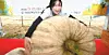 테스트