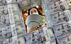 An employee of Hana Bank organizes dollars at its headquarters in Jung District, central Seoul, on Wednesday. [YONHAP]