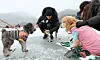 테스트