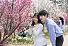 A couple takes a photo with plum trees at Sky Garden Trail in Yongin, Gyeonggi. [SAMSUNG C&T]