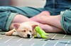 A visitor spends time with a rescued dog at the Seoul Abandoned Animal Adoption Center in Jungang District, eastern Seoul. [JUNG JUN-HEE]