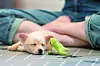 A visitor spends time with a rescued dog at the Seoul Abandoned Animal Adoption Center in Jungang District, eastern Seoul. [JUNG JUN-HEE]