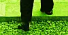 테스트