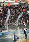 테스트
