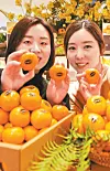 테스트