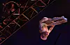 A flying trapeze performer swings from a 10 meter (33 foot) high swing during a press preview of Cirque du Soleil's 'Alegria in a New Light' at Jamsil Sports Complex’s Big Top Theater in Songpa District, southern Seoul, on Thursday. [YONHAP]