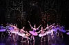 Universal Ballet Company's upcoming production of 'The Sleeping Beauty' will be presented on June 11 and 12 at the Seoul Arts Center, southern Seoul. [UBC]