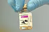 The AstraZeneca vaccine [REUTERS/YONHAP]
