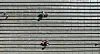 Farmers transplant onion seedlings in Hamyang County, South Gyeongsang, on Thursday. [HAMYANG COUNTY]