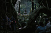 Scene from ″The Medium.″ [SHOWBOX]
