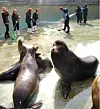 테스트