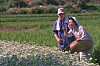 A scene from Korea's longest-running television series ″Country Diaries' (1980-2002) [MBC]