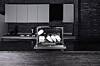 A dishwasher from Cuckoo Electronics [CUCKOO ELECTRONICS]