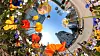 Seoul Metropolitan Government in March decorated streets with flowers as part of efforts to comfort city residents who have been suffering from corona blues. The event ran until the end of March. [YONHAP]