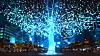 “Gwanghwa Su [Gwanghwa World Tree],” is one of the eight works from the forthcoming immersive content project titled ″Age of Light.″ [KOCCA]