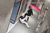 A CCTV footage provided by the victim's law firm shows the man sentenced to 20 years in prison for attempted murder and sexual assault kicking a young woman in the head at her apartment building in Busan on May 22, 2022. [JOONGANG PHOTO]