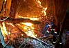 Firefighters try to extinguish the wildfire that occurred in Jirisan National Park in Hadong County in South Gyeongsang on Saturday. [NATIONAL FOREST SERVICE]